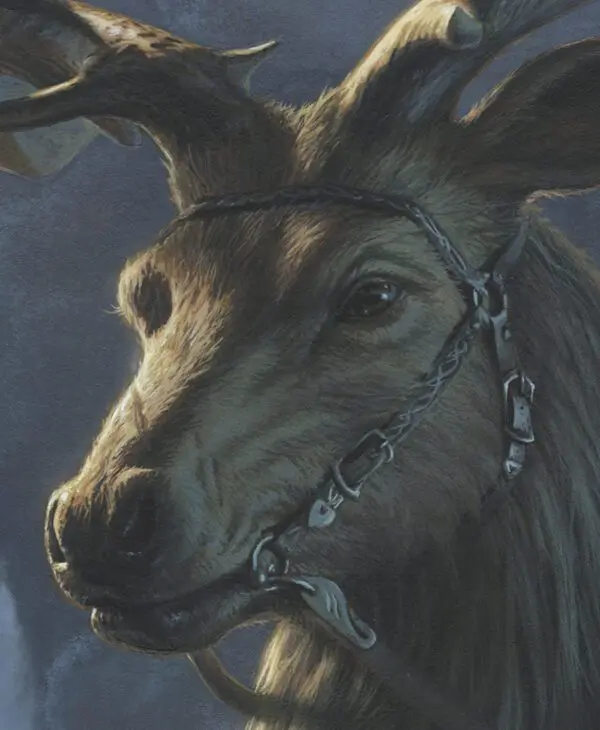 A close up of a deer with chains on its head