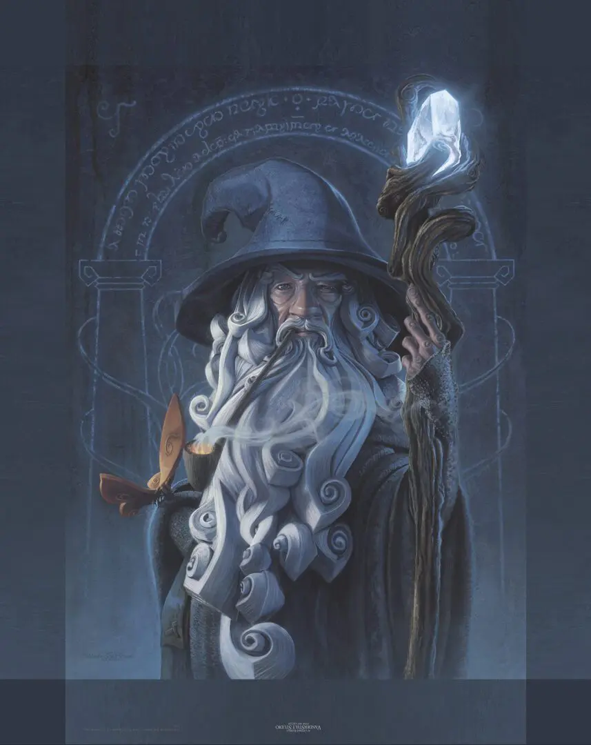 A wizard with long hair and a hat.